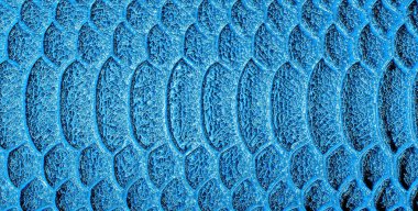 Mavi yılan deri arka plan