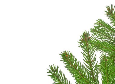 Beyaz arkaplanda izole edilmiş Noel yeşili çerçeve
