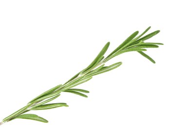 Biberiye beyaz arka plan üzerinde closeup izole