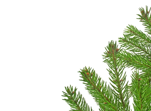 Marco verde de Navidad aislado sobre fondo blanco —  Fotos de Stock