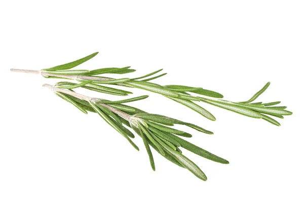 Rosemary isolated on white background, closeup — Stock Photo, Image