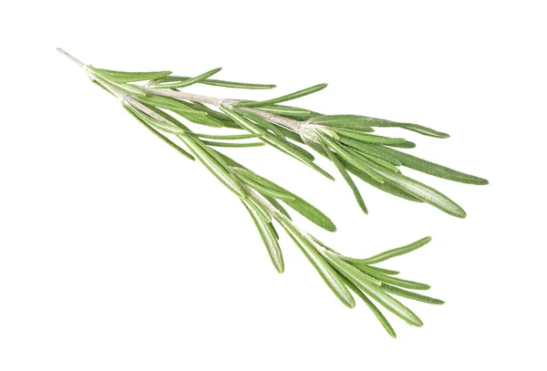 Rosemary isolated on white background, closeup — Stock Photo, Image