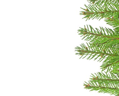 Beyaz arkaplanda izole edilmiş Noel yeşili çerçeve