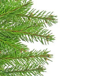 Beyaz arkaplanda izole edilmiş Noel yeşili çerçeve