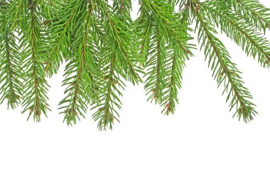Beyaz arkaplanda izole edilmiş Noel yeşili çerçeve