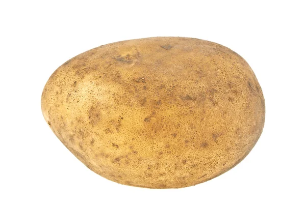 Potato isolated on white background, close up — Stock Photo, Image