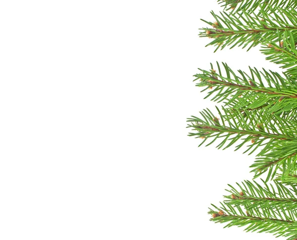 Christmas green framework isolated on white background Royalty Free Stock Photos