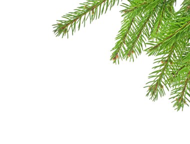 Beyaz arkaplanda izole edilmiş Noel yeşili çerçeve