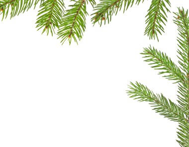 Beyaz arkaplanda izole edilmiş Noel yeşili çerçeve