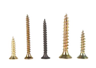 Beyaz arkaplanda çeşitli vidalar