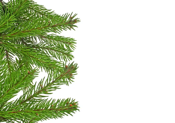 Vánoční zelený rámec izolované na bílém pozadí — Stock fotografie