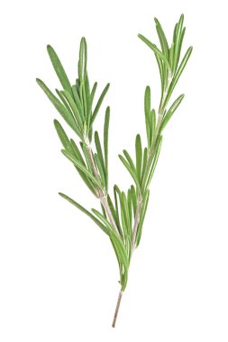 Biberiye beyaz arka plan üzerinde closeup izole