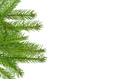 Beyaz arkaplanda izole edilmiş Noel yeşili çerçeve