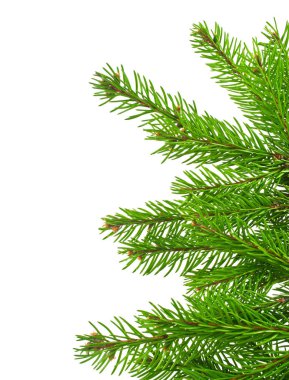 Beyaz arkaplanda izole edilmiş Noel yeşili çerçeve