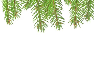 Beyaz arkaplanda izole edilmiş Noel yeşili çerçeve