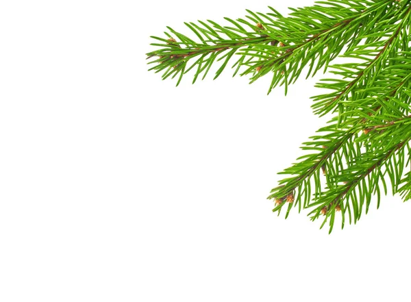 Weihnachten grüne Rahmen isoliert auf weißem Hintergrund — Stockfoto