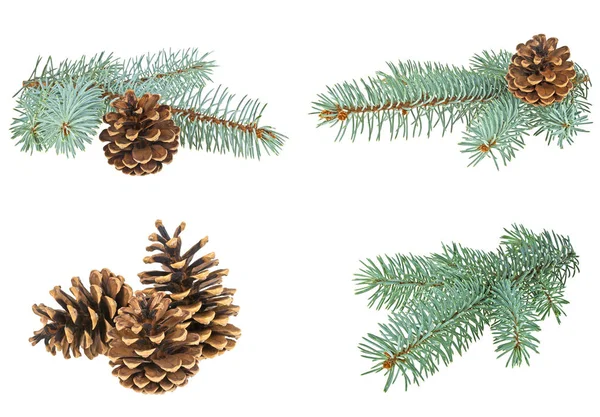 Set of different Christmas decorations. Blue spruce twig with co — Stock Photo, Image