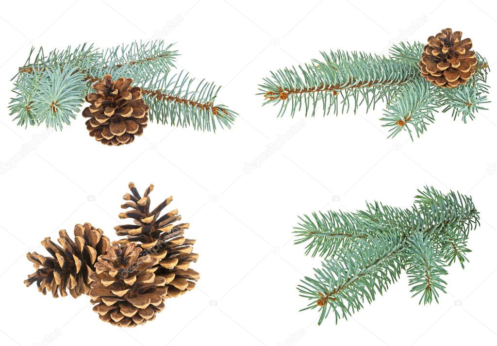 Set of different Christmas decorations. Blue spruce twig with co