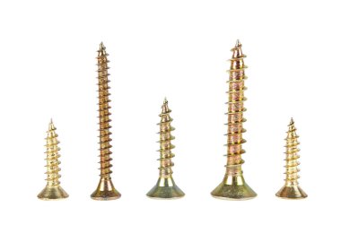 Beyaz arkaplanda çeşitli vidalar