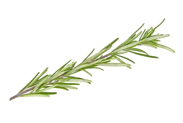 Rosemary isolated on white background, closeup — Stock Photo, Image