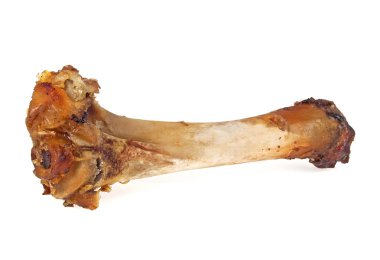 Beyaz bir arka plan üzerinde izole domuz kemik