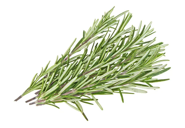 Rosemary isolado em um fundo branco — Fotografia de Stock