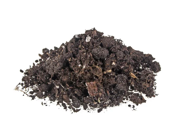 Pile heap of soil humus isolated on white background — Stock Photo, Image