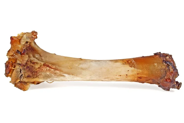 Свиняча кістка ізольована на білому тлі — стокове фото