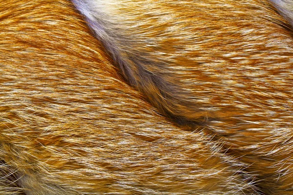 Textur aus rotem Fuchspelz, Nahaufnahme — Stockfoto