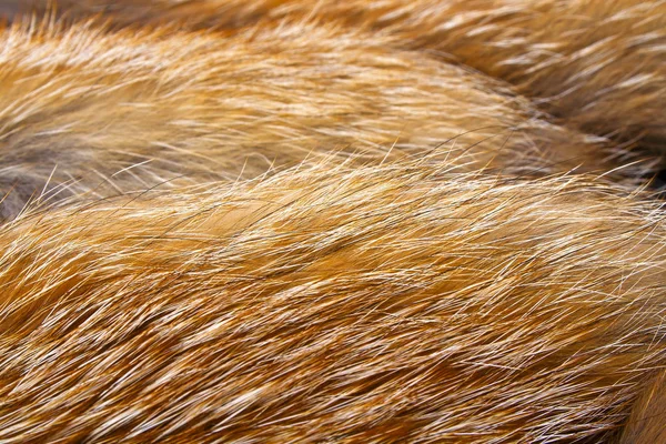 Textur aus rotem Fuchspelz, Nahaufnahme — Stockfoto