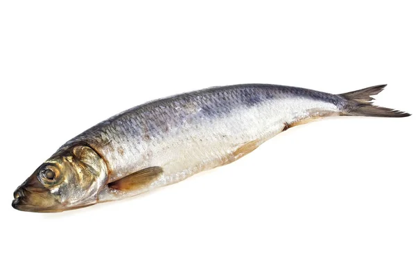 Peixes de arenque salgados isolados sobre fundo branco — Fotografia de Stock