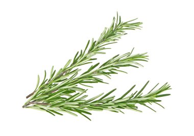 Yeşil fışkın taze biberiye beyaz bir arka plan üzerinde izole