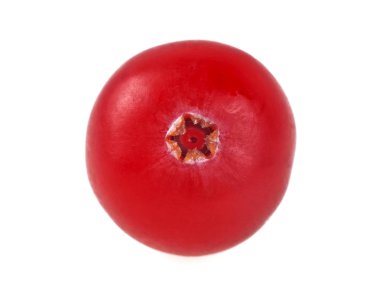 Kızılcık. Beyaz arka plan üzerinde izole taze çiğ meyve. Makro ben