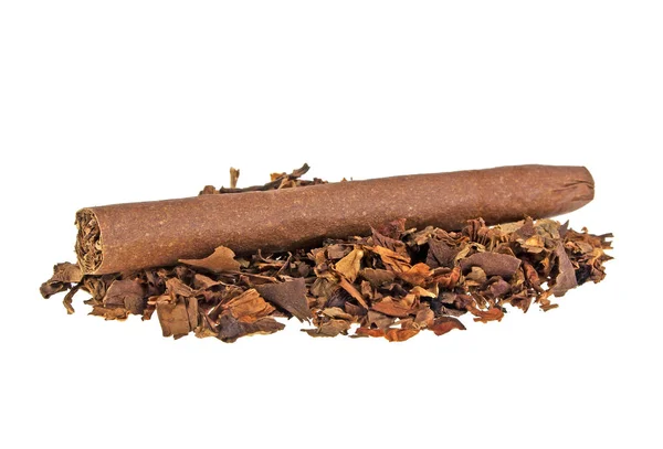 Tütün ve puro beyaz bir arka plan üzerinde — Stok fotoğraf