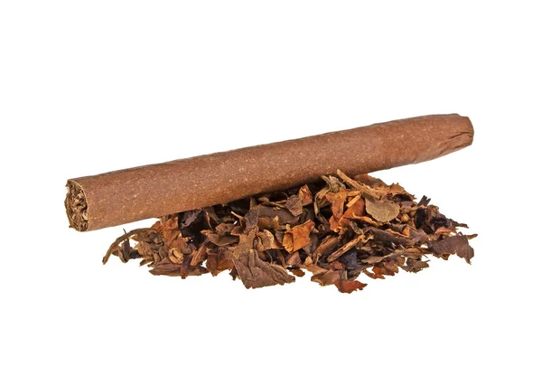 Tabacco e sigaro su sfondo bianco — Foto Stock