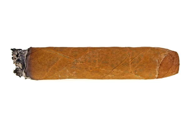 Brown cigar burned on white background — Stock Photo, Image