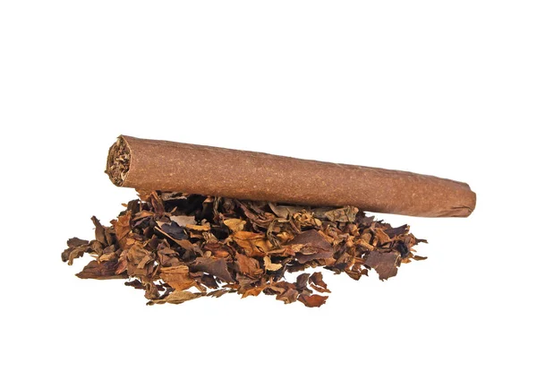 Tobacco and cigar on a white background — Stock Photo, Image