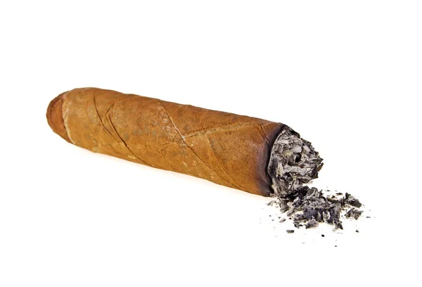 Brown cigar burned on white background — Stock Photo, Image