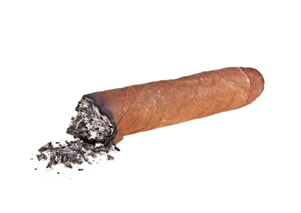 Cigare brun brûlé sur fond blanc — Photo