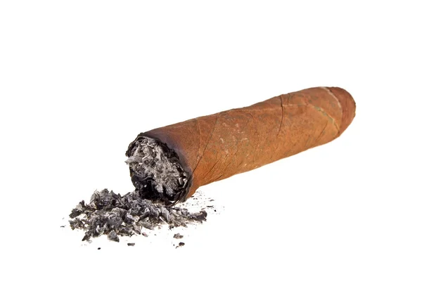 Braune Zigarre auf weißem Hintergrund verbrannt — Stockfoto