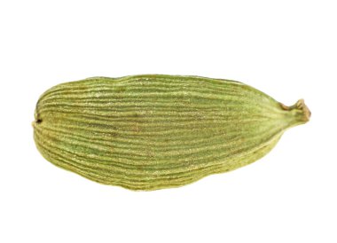 Beyaz arka plan üzerinde izole yeşil kakule pod. Görüntüyü, se