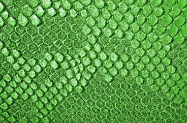 Yeşil yılan deri arka plan
