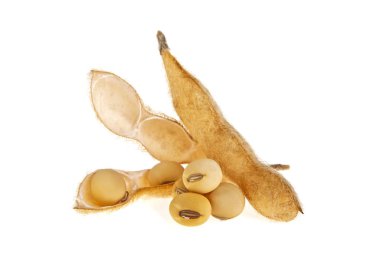 Beyaz arka plan üzerinde izole soya bakla. Soya - protein bitki 