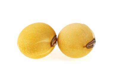 Soya fasulyesi yakın çekim. Görüntüyü, seçici odak.