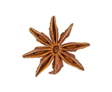 Beyaz bir arka plan üzerinde izole anason star