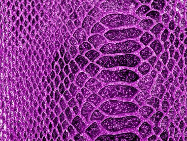 Menekşe yılan deri arka plan