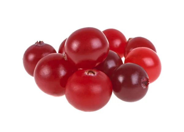 Cranberry. Fresh raw berries isolated on white background. — Stock Photo, Image