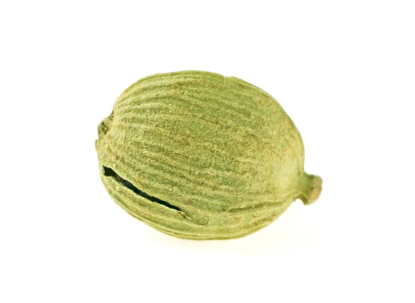 Зелений кардамонний кільце ізольовано на білому тлі. Макрозображення, se — стокове фото