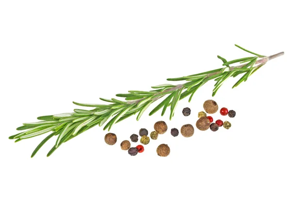 Rosemary and peppercorns on a white background, closeup — Stock Photo, Image