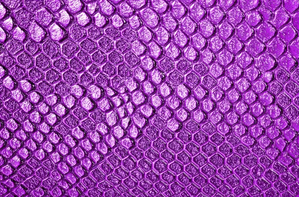 Fioletowy wąż skórę tło — Zdjęcie stockowe